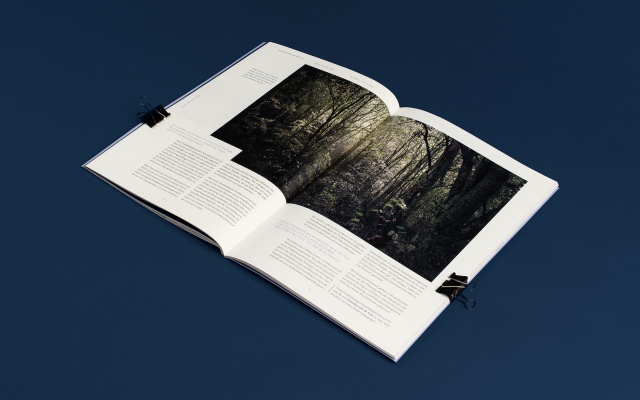 Beiersdorf Geschäftsbericht – Magazin Storys