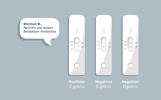 Milchtest Animationsfilm Schnelltests
